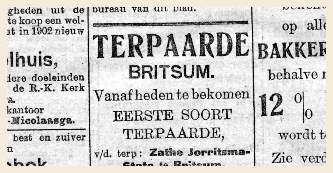 Het bericht zoals het op 11 februari 1905 in de krant stond.